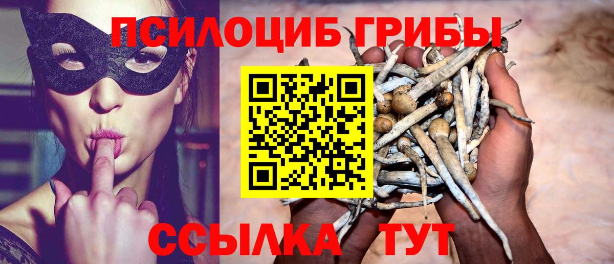 Псилоцибиновые грибы Magic Shrooms  Вход с VPN  Красноуфимск  Галлюциногенные грибы Magic Shrooms 